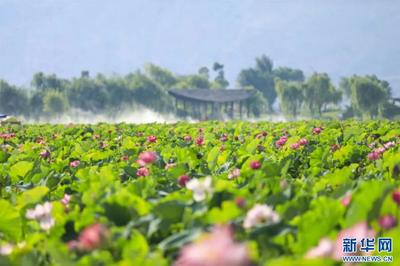 有一种叫云南的生活 | 暖心服务培育“避暑经济”！曲靖迎来暑期旅居热