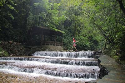 玉溪旅游“一卡通”丨从原始森林到哀牢山，开启清新吸氧之旅！