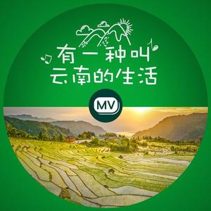 原创歌曲MV《有一种叫云南的生活》重磅上线