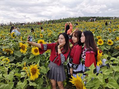 有一种叫云南的生活 |  暑夏清凉游 百万游客尽享21℃昭通