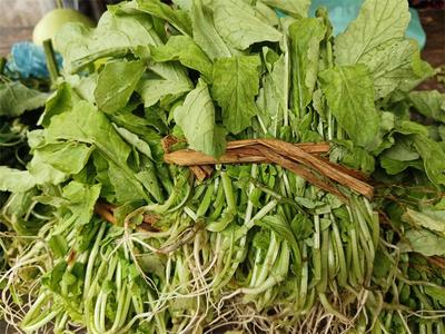 多彩暑期，“趣”游普洱丨赶街（gai）咯！来逛一逛墨江文武的农贸市场吧
