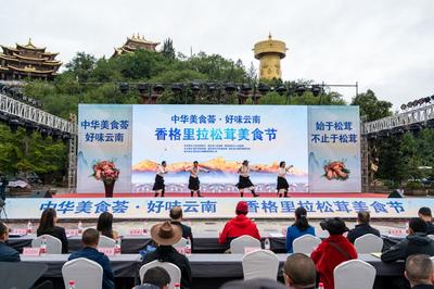 相约迪庆松茸美食节 “清凉一夏游云南”完美收官