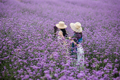 秋天的第一次出游，就来红河