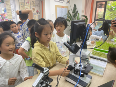 昆明市西山区前卫街道首期小犀鸟研学营活动举办