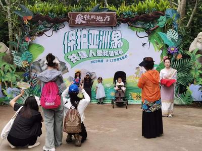 第八届“世界大象日”公益活动在野象谷举行