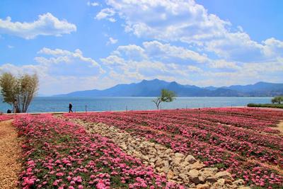 休闲玉溪 纯净之地｜收藏！抚仙湖环湖两日游就该这样玩！