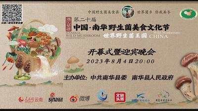 直播▕ 遇见楚雄——中国·南华第二十届野生菌美食文化节开幕式暨迎宾晚会