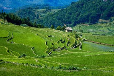 秋天的第一次出游，就来红河