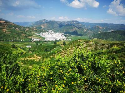 「你好 华宁」李婷：华宁，吾心安处，永远的故乡