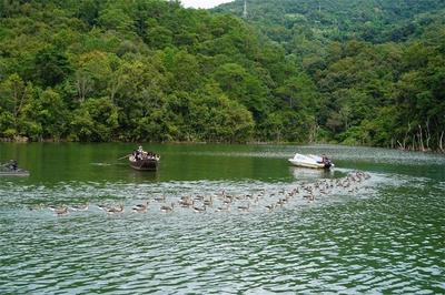 普洱茶马古道旅游景区新增多个体验项目 马帮文化特色再添旅游市场活力
