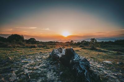 玉溪旅游“一卡通”｜走进磨盘山国家森林公园，尽享天然氧吧休闲体验
