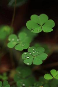 去红河做生活家丨下雨天，来红河畅享诗意生活