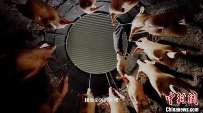 纪录片《食在云南》上线 开启轻量有“梗”的铁路美食之旅