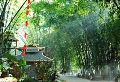 乐享云南｜美景·芒市勐巴娜西珍奇园