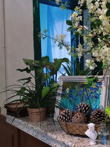 去红河做生活家丨这座被偏爱的浪漫花园，承包了一万次心动！