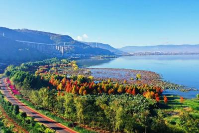 全网阅读量超100亿次！“有一种叫云南的生活”频频刷屏叫响世界