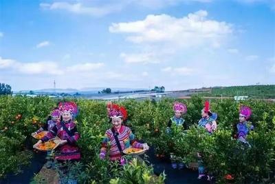 楚雄永仁：“田间校园”培育乡土人才