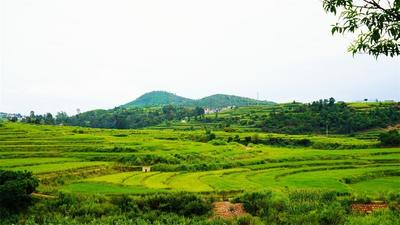 休闲玉溪 多彩秋天丨江川：层层梯田绕碧峰