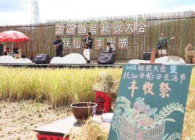 中秋国庆 乐游玉溪丨抚仙湖畔秋色美，田园“丰”景入画来！