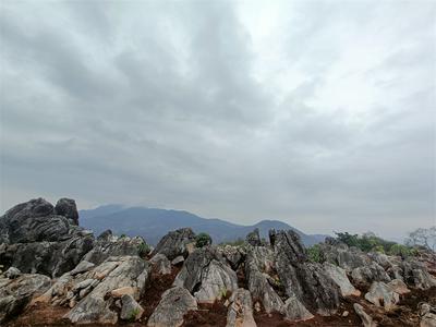秋日“村”游记丨神奇石林群，百年龙血树群，都在景谷平掌村！