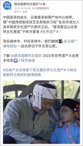 联合国教科文组织为云南打call：云南是茶树原产地中心地带