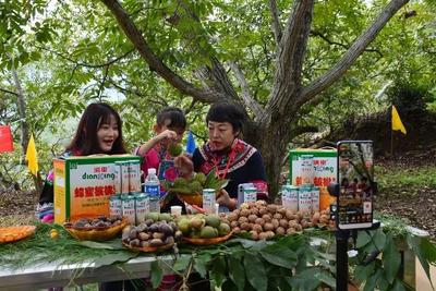 云南大姚：“红色农播”打造致富天地