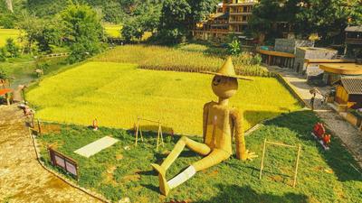 “趣”村游！云南发布10条秋冬季乡村旅游线路