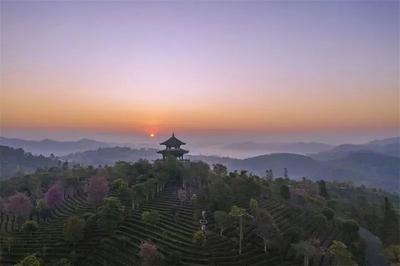 凭登机牌免门票！中华普洱茶博览苑这个活动持续到年底，还有教师节优惠套餐等着你