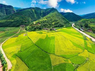 赏田园风光 品阳光鲜果｜自驾游楚雄永仁 周末就出发
