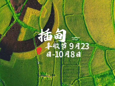 【庆丰收 促和美】走！来武定县插甸镇带你“玩转”丰收季
