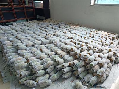 墨江文武晚熟芒果“抢鲜”上市，你确定不来尝尝吗？