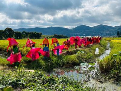 中秋国庆 乐游玉溪丨江川区：丰收节里话“丰”景