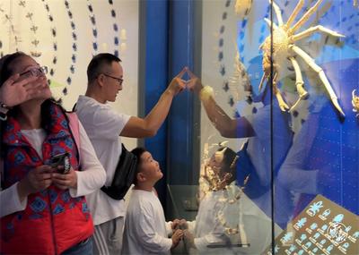 中秋国庆 乐游玉溪丨“双节”第一天，玉溪旅游人气爆棚