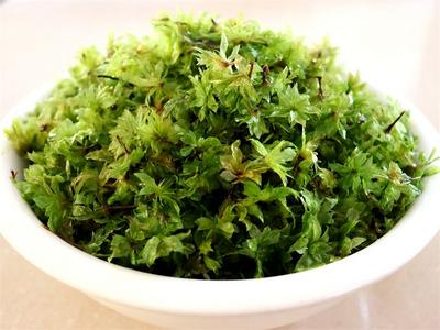 吃完让人“回心转意”！这是一道饱含爱意的磨黑传统名菜