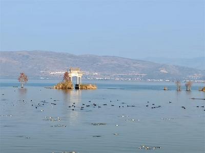 休闲玉溪 纯净之地丨秋游江川，漫步“星云”，万物成诗！