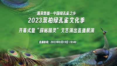 直播丨遇见楚雄——中国绿孔雀之乡2023双柏绿孔雀文化季