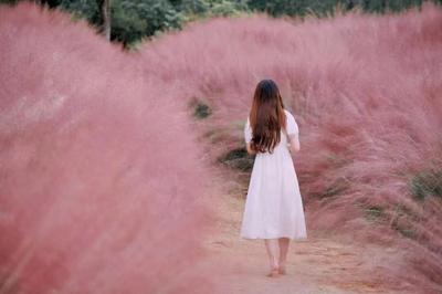 休闲玉溪 多彩秋天丨这个九月，来玉溪追一场多彩的秋天！