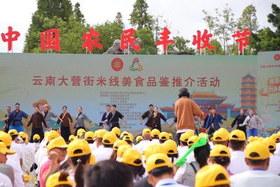 中秋国庆 乐游玉溪丨金秋丰富活动，描绘丰收多彩图景！