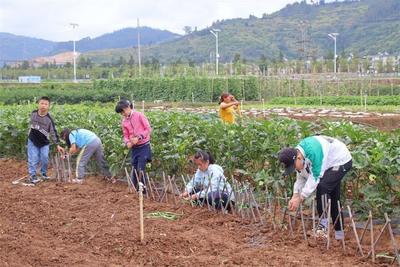 玉溪旅游“一卡通”丨周末到抚仙湖，来一场亲子探密研学之旅！