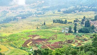 秋游红河，跟着这10条线路玩就够了！