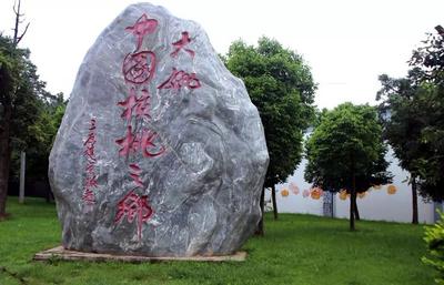 9月16日，大姚核桃文化节昆明推介会与你相约南屏步行街
