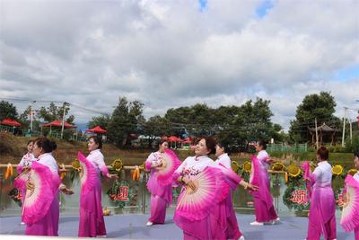 大理弥渡苴力农民丰收节 看金菊缤纷，丰收好景
