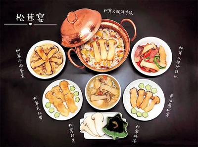 楚雄 | 一朵松茸的“自述”