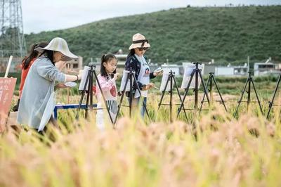 中秋国庆 乐游玉溪丨9月23日至25日，路居秋收大会暨抚仙谷稻田生活节邀您共赴一场秋日美好之约