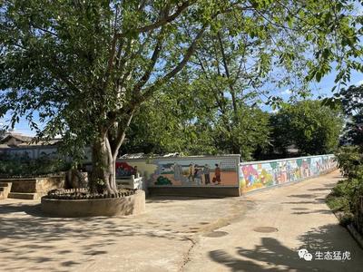 楚雄永仁猛虎乡：党建聚力共建宜居宜业和美乡村