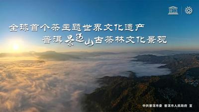 为什么是景迈山？——普洱景迈山古茶林文化景观申遗之路