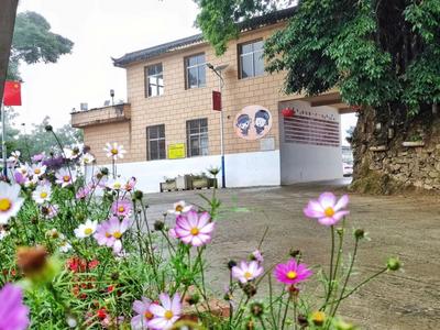 红河县甲寅镇：打造乡村旅游好风景 奏响振兴发展新乐章
