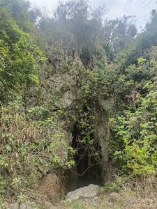 景谷碧安乡边江村“大龙洞”，真的“别有洞天”！