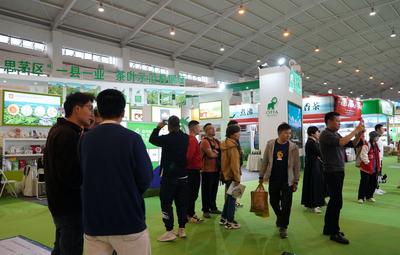 第十五届茶博会在昆明开幕