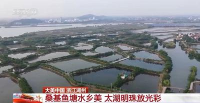 梯田峰岭稻浪滚 桑基鱼塘水乡美！农业文化遗产地焕发新生机